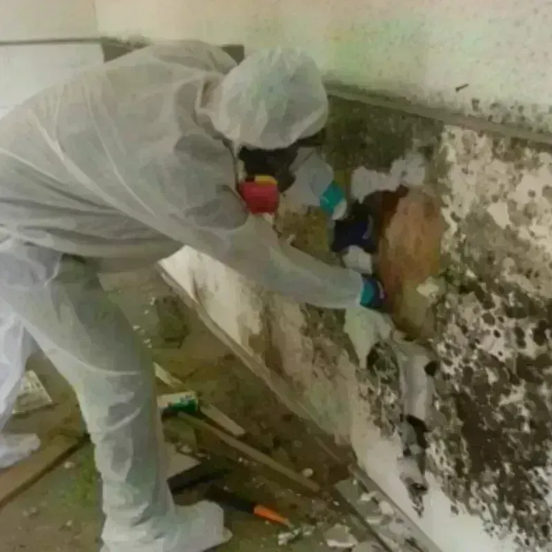 Mold Remediation and Removal in Winona Lake, IN